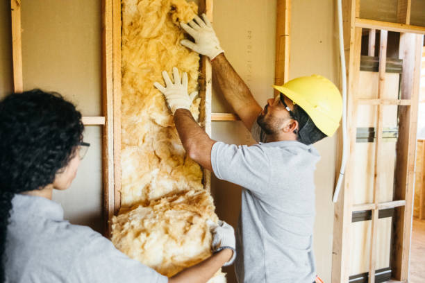 Best Attic Insulation Installation  in Maysville, KY